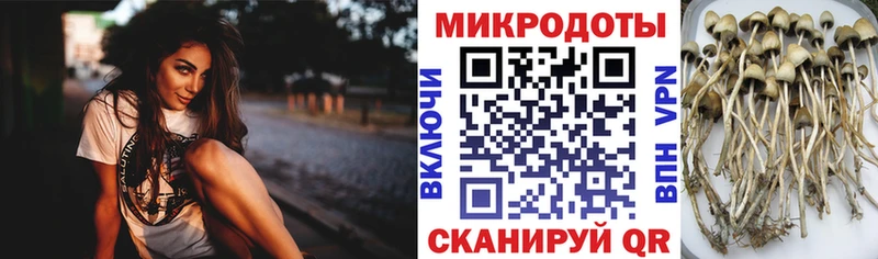 omg как зайти  Инта  Галлюциногенные грибы MAGIC MUSHROOMS  цены наркотик 