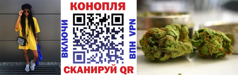 Каннабис Amnesia  магазин    Инта 